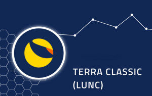 Terra (LUNA) ve NFT Projeleri için Heyecan Verici Duyuru