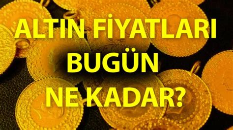 Memecoin Yatırımcılarına Yönelik En Güncel Bilgiler ve Tavsiyeler