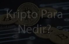 Kripto Para Madenciliği: Nasıl Başlanır ve Kazanç Sağlanır?