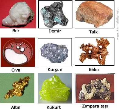 Kıymetli Madenler ve Ekonomik Dönüşüm