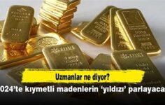 Kıymetli Madenlerin Ekonomiye Katkıları