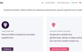 Kripto Cüzdan Seçimi: Hangi Cüzdanı Kullanmalısınız?